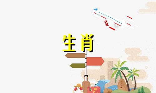 牛月是金牛座。八月是处理人际关系的好牛。