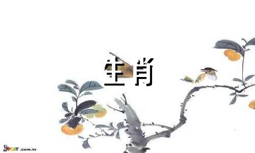 2021年生肖鸡的事业星非常好,职场上如鱼得水。