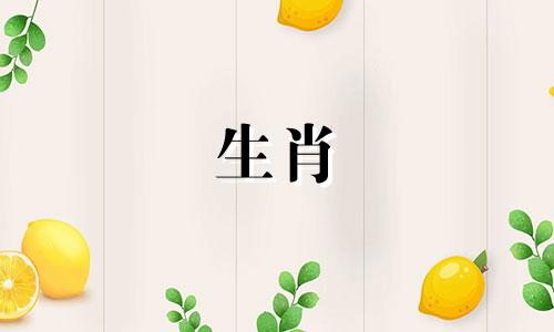 属虎、属龙的属鼠宝宝可以化解父母之间的言语纠纷。