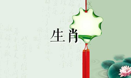 鼠年出生的人和马年出生的人在一起时应该多一些包容，以提高婚姻运势。