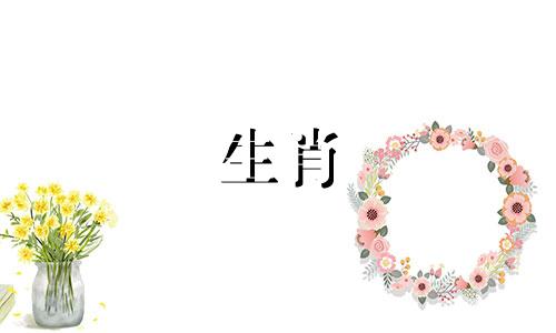 2021年运势最好的生肖是猪和兔。属猪的人一生都会一帆风顺。