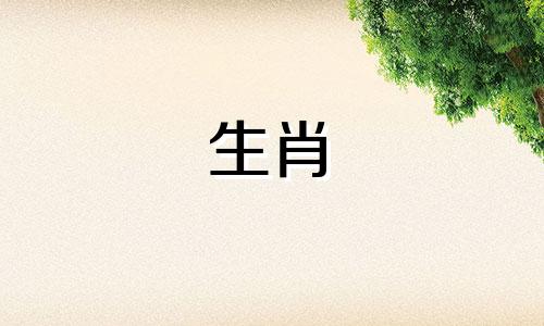 2021年爱情运最好的生肖鼠,感情很好