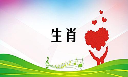 属狗的人和属猪的人在情绪稳定性上比较契合。