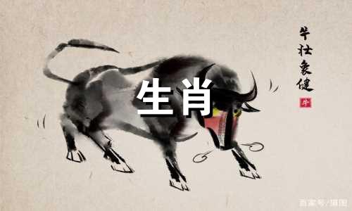 属鸡人2021年健康运势良好，属鸡人生病了也会好起来。