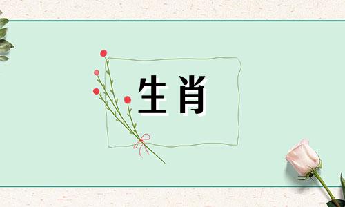 属鸡的人和属狗的人需要互相包容,和平共处。他们的命运不稳定。