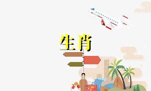 属牛的人和属蛇的人婚姻关系比较和谐。