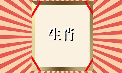 2005年鸡年出生的人，在2021年的学习进步上，会收到事半功倍的效果。