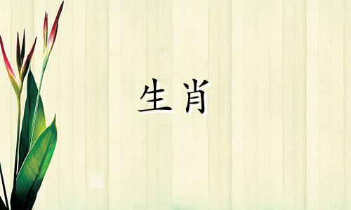 2021年最适合结婚的生肖：属鼠人，姻缘好