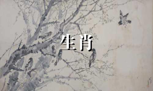 属猴人2021年身体健康、稳定、顺利