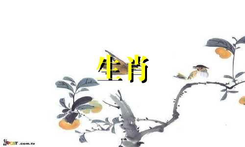 1972年的属鼠人在2021年事业硕果累累,迎来新的转折点。