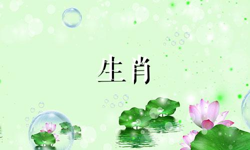 属马人2021年5月运势会发生变化，财运会有所改善。