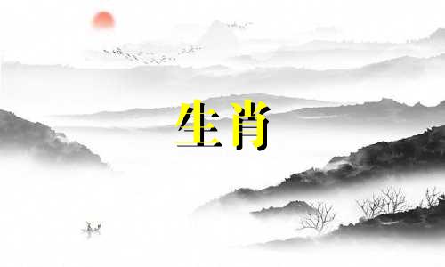 2021年，狗与猪是求同存异的组合，财运不错。