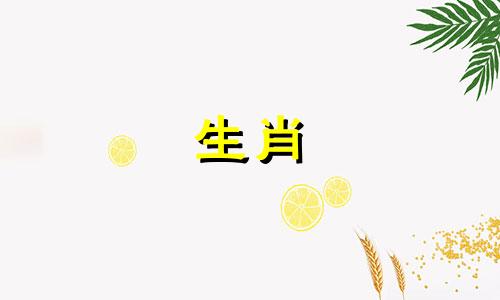 生肖虎2021年会遇到正桃花吗? 2021年虎生肖红鸾桃花会相会吗?