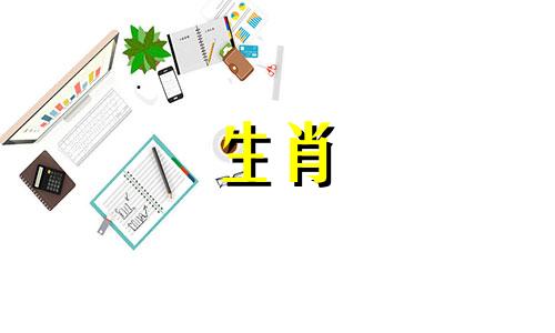 猪兔年出生的兔，属猪和兔的组合