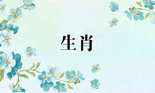 2021年，生肖鼠的事业和爱情生活也能相得益彰，但也要注意凶星。