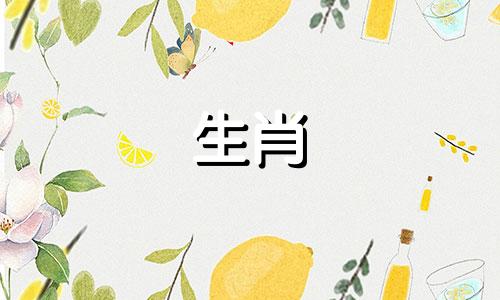 狗年出生的宝宝和属龙猴年出生的宝宝，家运都不错。