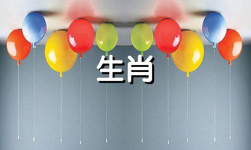 2021年,属猪和属鸡的人运气不太好,友谊也很深厚。