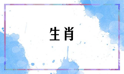 鸡和鼠从分手到相爱需要时间。