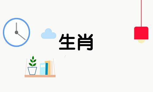 属兔人在2020年可能会放开感情，属兔人在感情上不宜过于敏感。