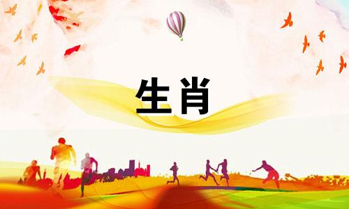 卯兔与亥猪三合一，爱情高，幸福安定。