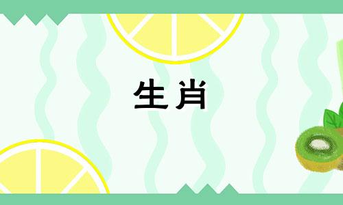 兔年出生的人，33岁以后会受到两颗贵星的祝福。