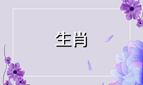 兔年出生的宝宝、蛇年出生的宝宝、羊年出生的宝宝,羊和兔是相配的。