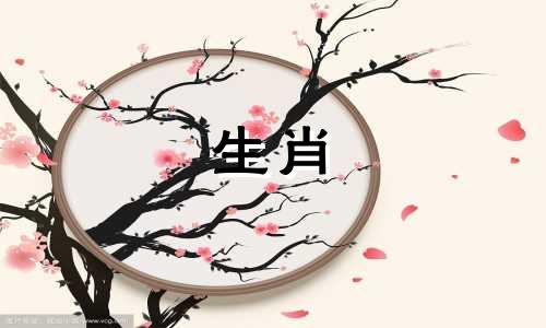 2020年之后，狗年出生的人财富指数会持续上升，牛年运势会非常好。