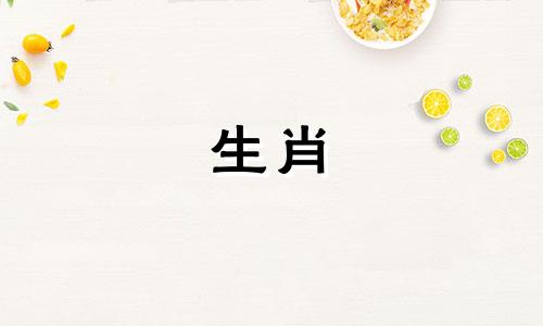 2022年跨年夜，最擅长单身的属猴人上榜