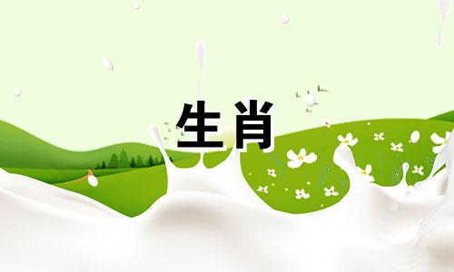 鼠、属龙、子、辰相合，财运亨通，婚姻美满。