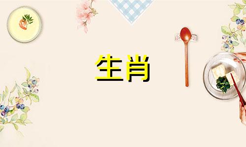 属龙的女人和属马的男人在一起好吗？如果性格互补，婚姻会幸福吗？