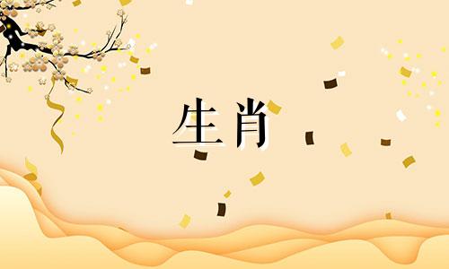 2021年运气不佳、身无分文的属蛇人，创业需谨慎。