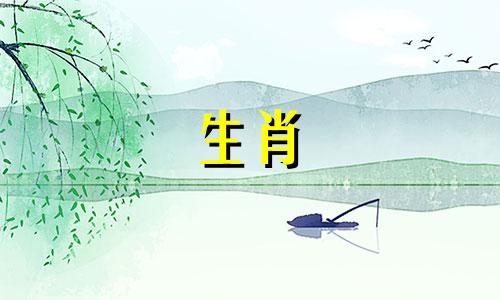 属兔人适合做什么工作?需要细心和敏锐