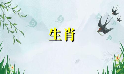 属鼠、属鸡的宝宝和属龙的宝宝，与属龙、鼠、鸡的结合，会有好运。