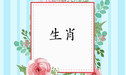 属鸡和属兔能生出什么样的宝宝呢？有黑社会的宝宝就没事了。