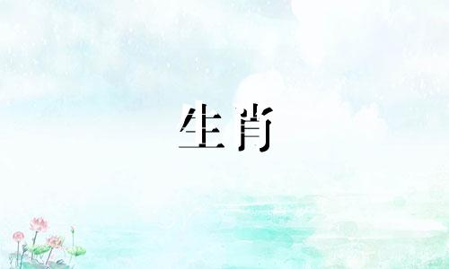 属狗的人在2021年不适合结婚,牛年可能会分手。