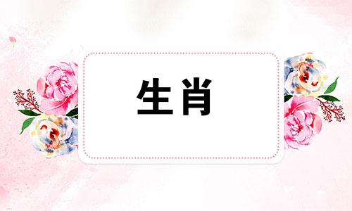 属虎的男人和属兔的女人合适吗?属虎的男人和属兔的女人在一起会有好运吗?