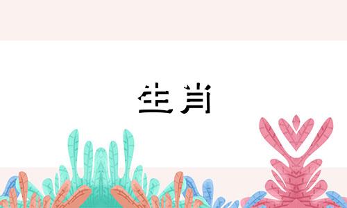 饲养属龙鱼，将其放置在自己的财位上，可以促进财富的发展。