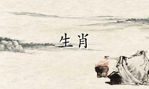 1960年出生的鼠年人2021年事业运不错，工作环境也不错