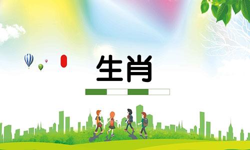 1979年出生的属羊人命运如何？ 1979年出生的人四十岁以后会好吗？