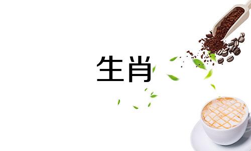 2021年，马年出生的人会受到煞星的干扰，一切都不会顺利，需要外在的力量来改善。