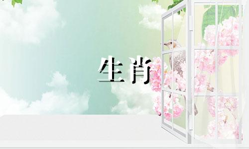 2020年霜降生的属鼠宝宝，异性缘好，爱情顺利，幸福美满。