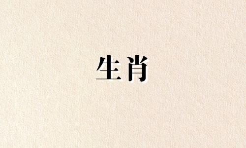 1974年出生的属虎人2021年事业会遇到困难,可能要加班。
