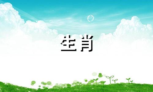 马年、狗年生的宝宝最好。