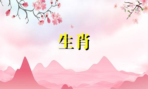 2021年遇到真爱的属虎人,可能会主动出击,猛烈追求