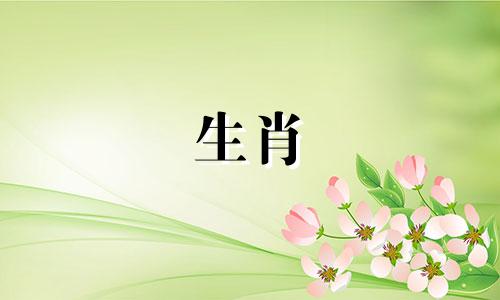 属兔的人情感丰富，爱情生活丰富多彩。