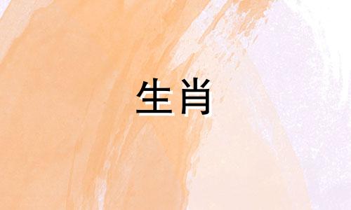 狗年或兔年出生的虎宝宝是不错的选择。