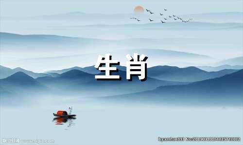 属兔和属羊生猪好不好？