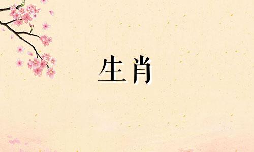 男属龙、女属羊是什么生肖？生马宝宝或鸡宝宝比较好。