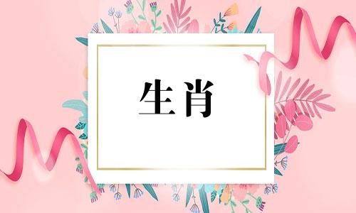 1991年属羊的人一生运势好吗？