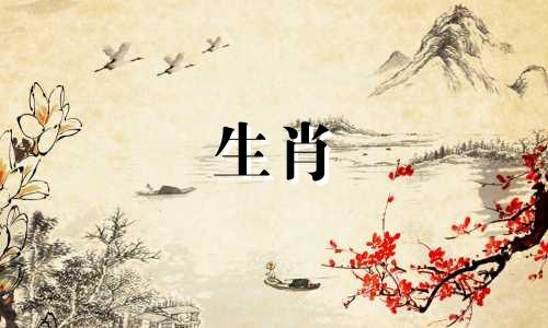 鼠兔组合冲突强烈，性格兼容，婚姻美满